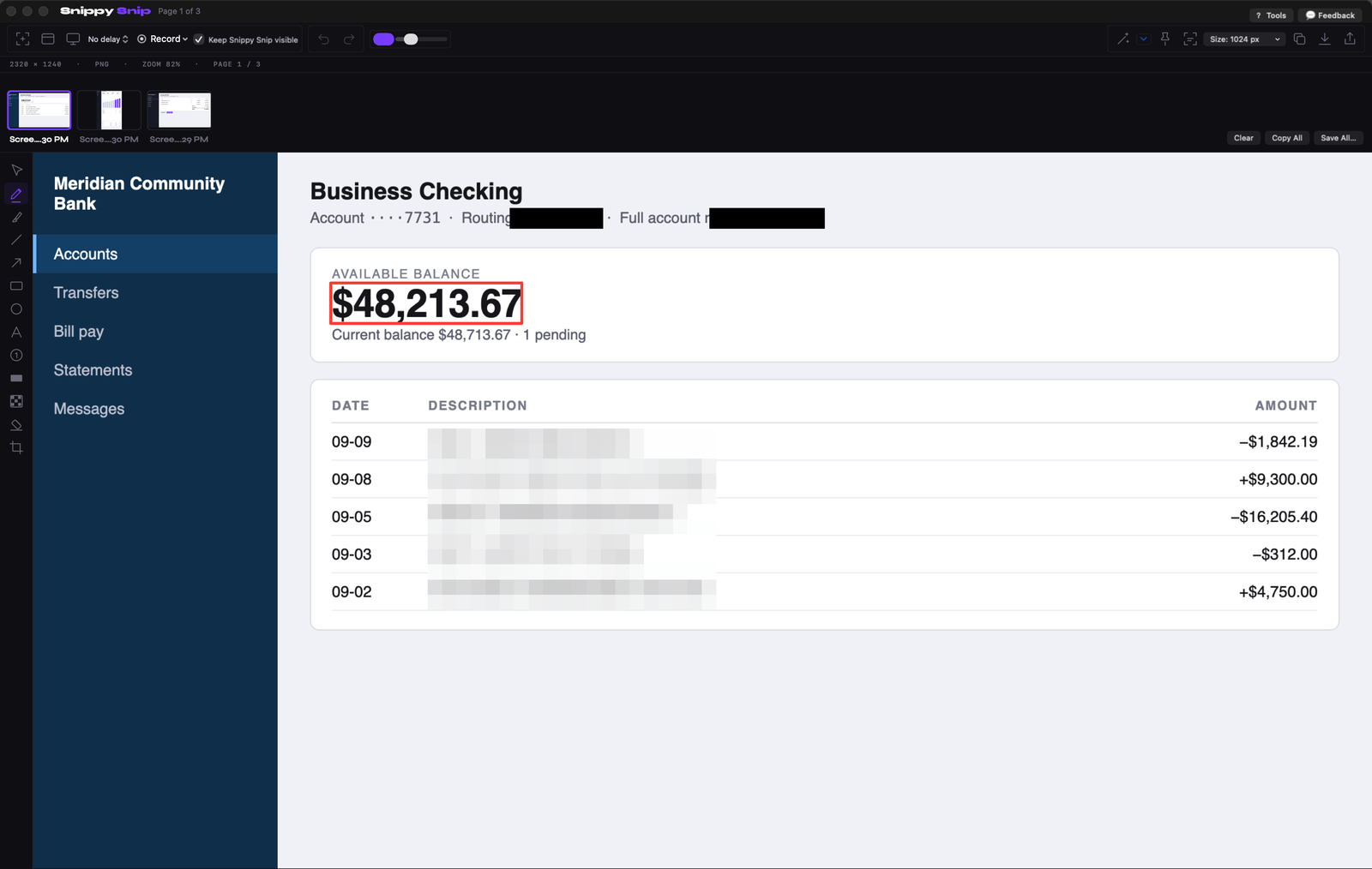 An invented online-banking summary for "Meridian Community Bank" showing a fictional business checking account with account and routing numbers, an available balance of $48,213.67, and five recent transactions with invented payee names. Black redaction bars over the account and routing numbers; pixelation over the payee names; a red box around the available balance; a text callout reading "The number that matters stays readable."