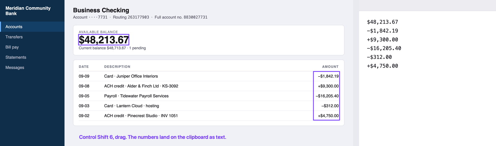 An invented online-banking portal for "Meridian Community Bank" showing a fictional business checking account with an available balance of $48,213.67 and a short list of five transactions, every figure and payee invented, the account number partially masked the way a bank would show it. A dashed selection box around the balance and the transaction amounts, and the small "Text copied to clipboard" note in the corner showing "$48,213.67" as its first line.