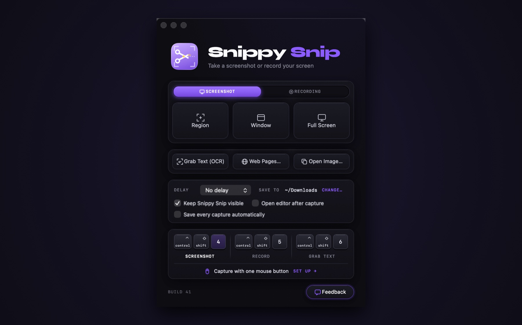 The Snippy Snip start window on a violet-lit dark backdrop: a Screenshot/Recording switch over Region, Window and Full Screen tiles, Grab Text, Web Pages and Open Image, the capture delay and save folder, and the three shortcuts drawn as keys