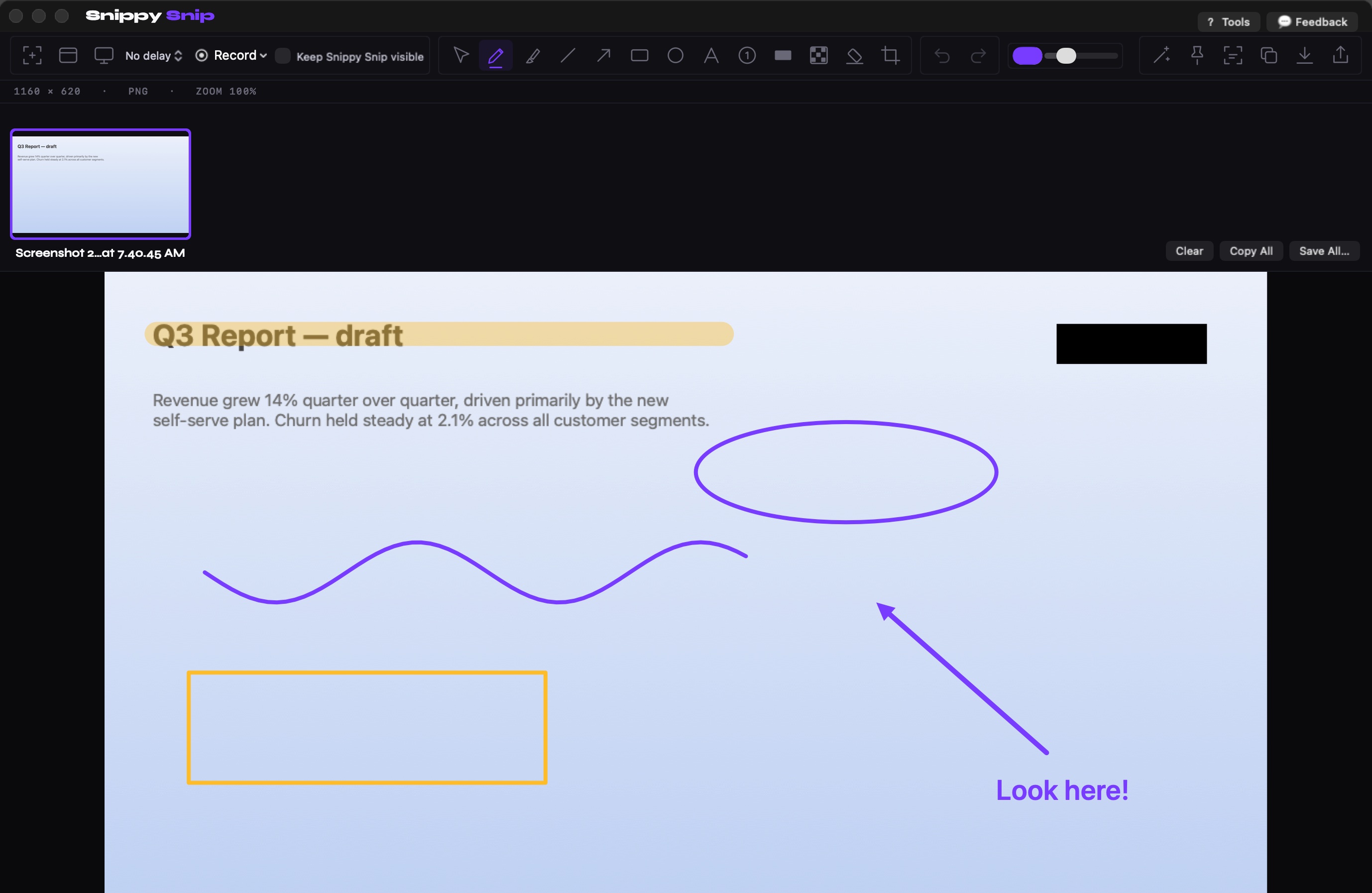 The Snippy Snip editor with an annotated screenshot